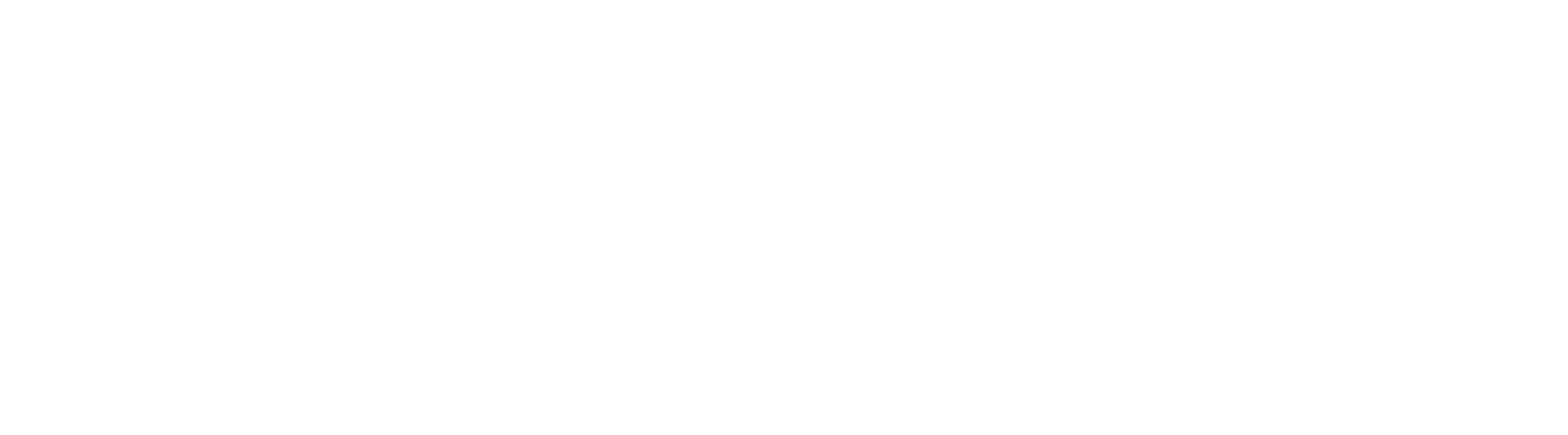 MetShape GmbH